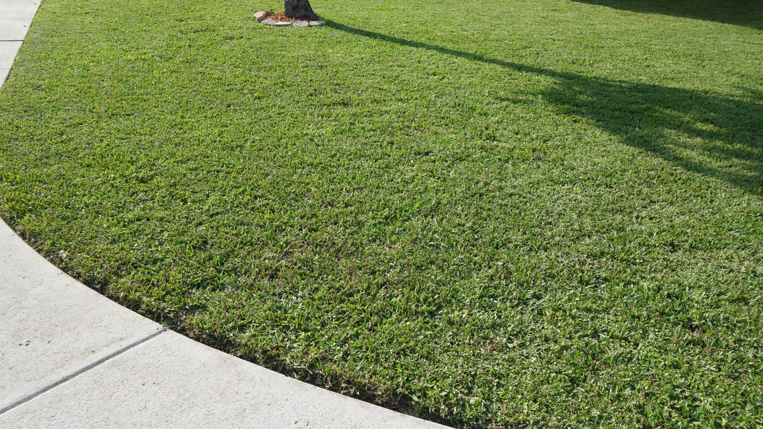 Three Essential Steps for Growing a Healthy Lawn