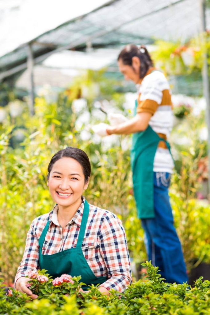 Cheerful Vietnamese woman planing flowers in orangery